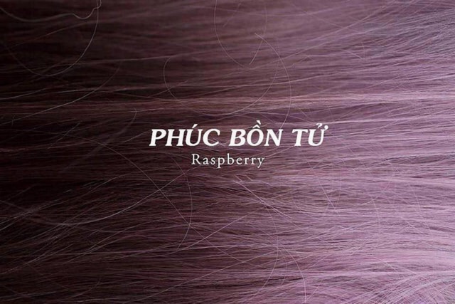 THUỐC NHUỘM TÓC MÀU PHÚC BỒN TỬ KO CẦN TẨY tặng oxy trợ dưỡng và găng tay | BigBuy360 - bigbuy360.vn