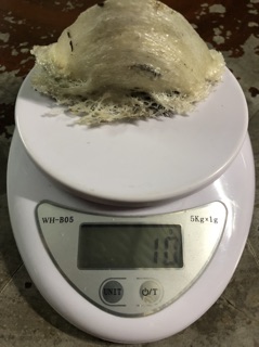 10gr yến thô (loại còn lông)