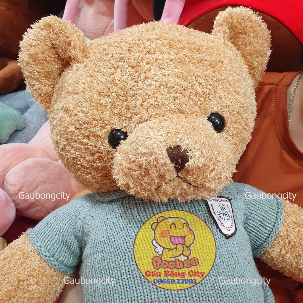 Gấu Bông Teddy Chỉ Mềm Mượt Cao Cấp Quà Tặng Ý Nghĩa Gấu Bông City