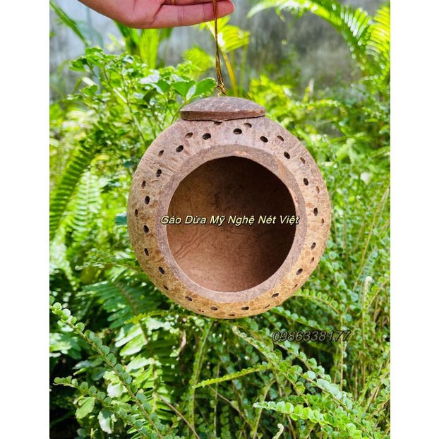 Gáo l Tổ chim Vip, tổ Sóc loại lớn, túm miệng, ĐK bụng 15-16cm