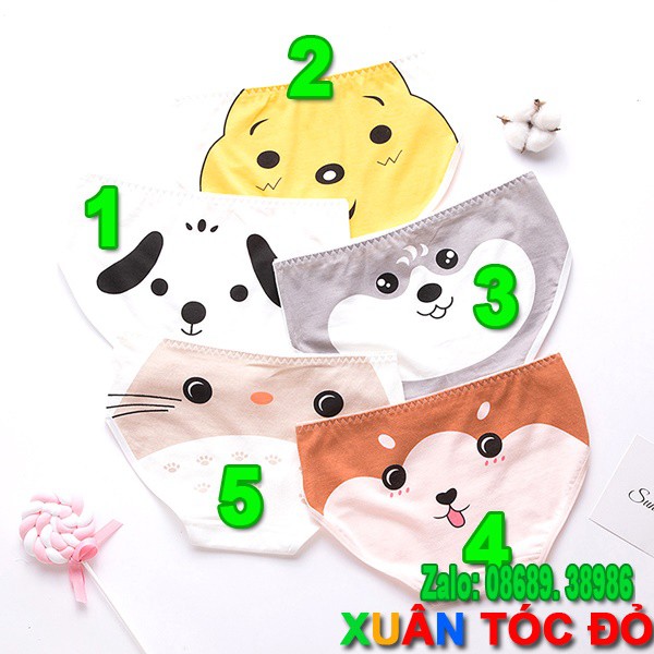SỈ ZALO RẺ HƠN NHIỀU_ Quần Lót 5 Kiểu Mặt Loài Vật Mới Đáng Yêu N004 | BigBuy360 - bigbuy360.vn