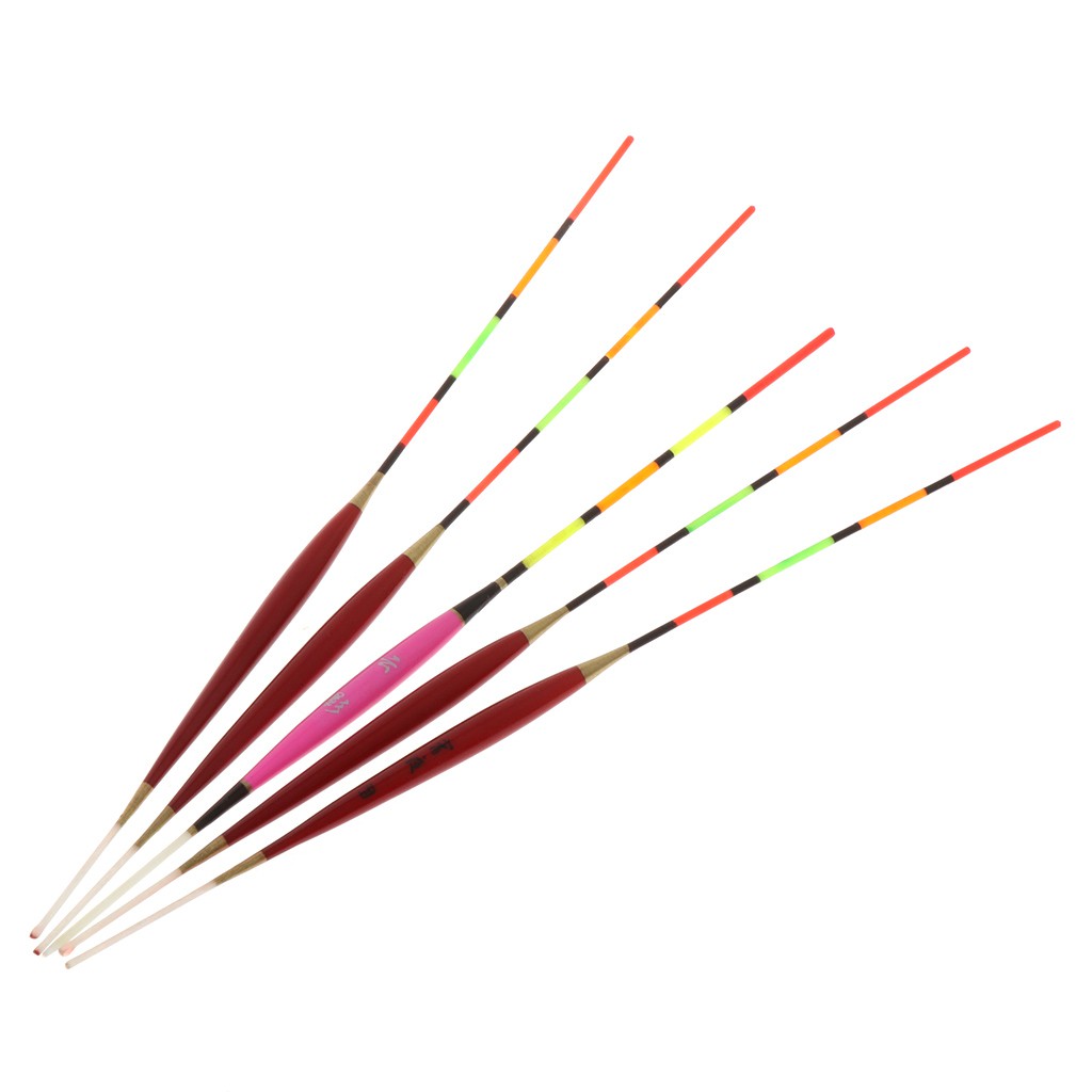 Bộ 5 phao câu cá phát sáng trong bóng tối