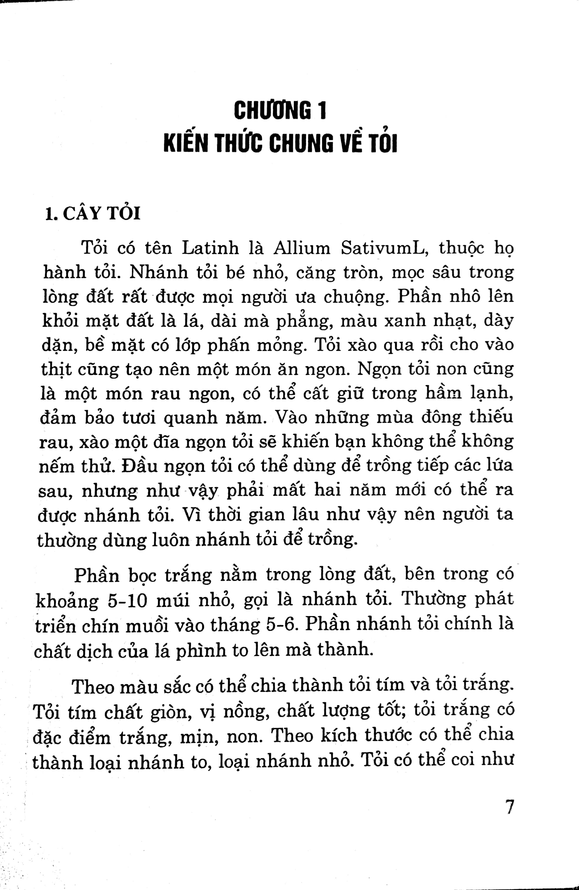 Sách - Tỏi Chữa Bách Bệnh