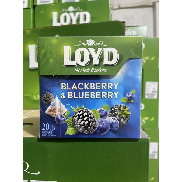 Trà túi lọc trái cây loyd yerba mate năng lượng xuất xứ Ba Lan 40g ( Khuyến mãi dùng thử )