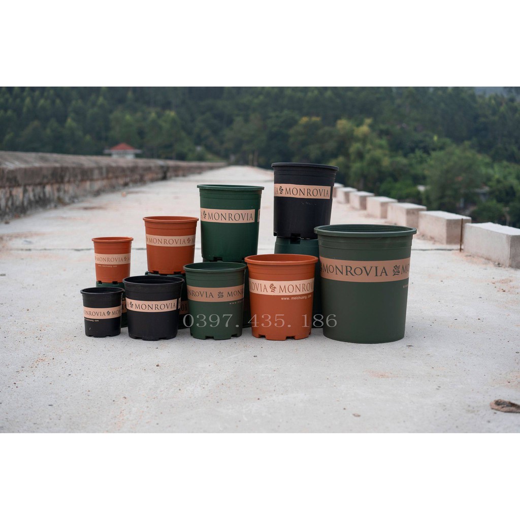 Chậu Nhựa Trồng Hoa Cây Cảnh MONROVIA Màu Xanh