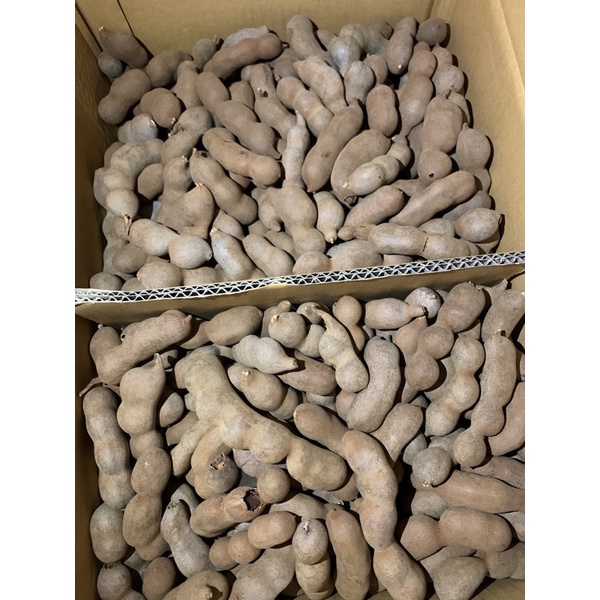 Me Thái ngọt loại TO 1kg