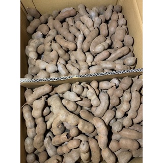 Me Thái ngọt 1kg