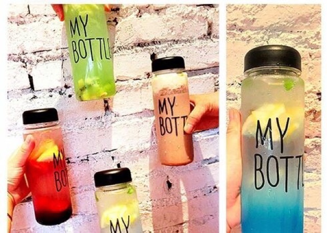 Bình my gấu thỏ vịt.