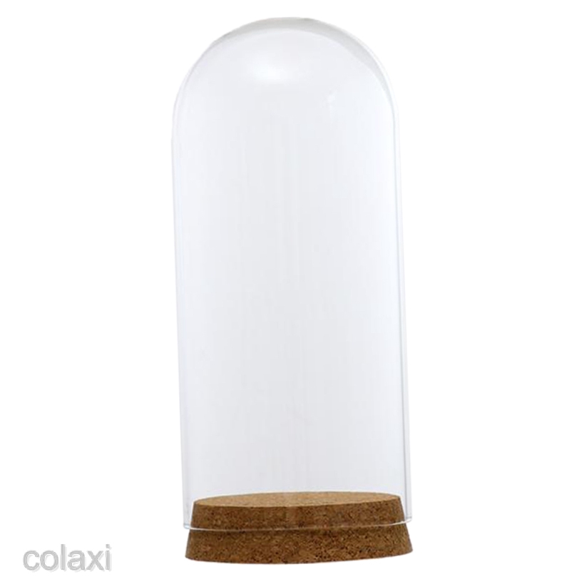 [COLAXI] Clear Glass Display Dome Cover Cloche Bell Jar Succulent Terrariums w/ Cork