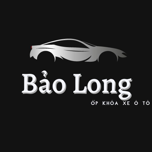 Bảo Long Shop Ốp khóa xe ô tô, Cửa hàng trực tuyến | BigBuy360 - bigbuy360.vn