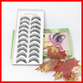 Mi giả tự nhiên Andrea Eyelashes Fashion (10 đôi / hộp )