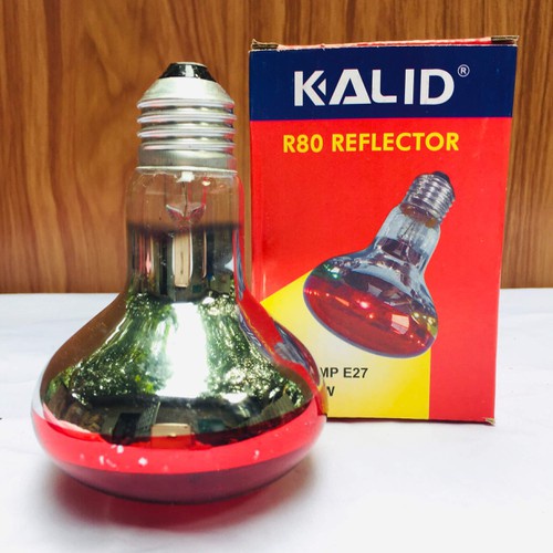 Bóng Úm Gà Sưởi Ấm Gia Súc Gia Cầm 45W, 75W