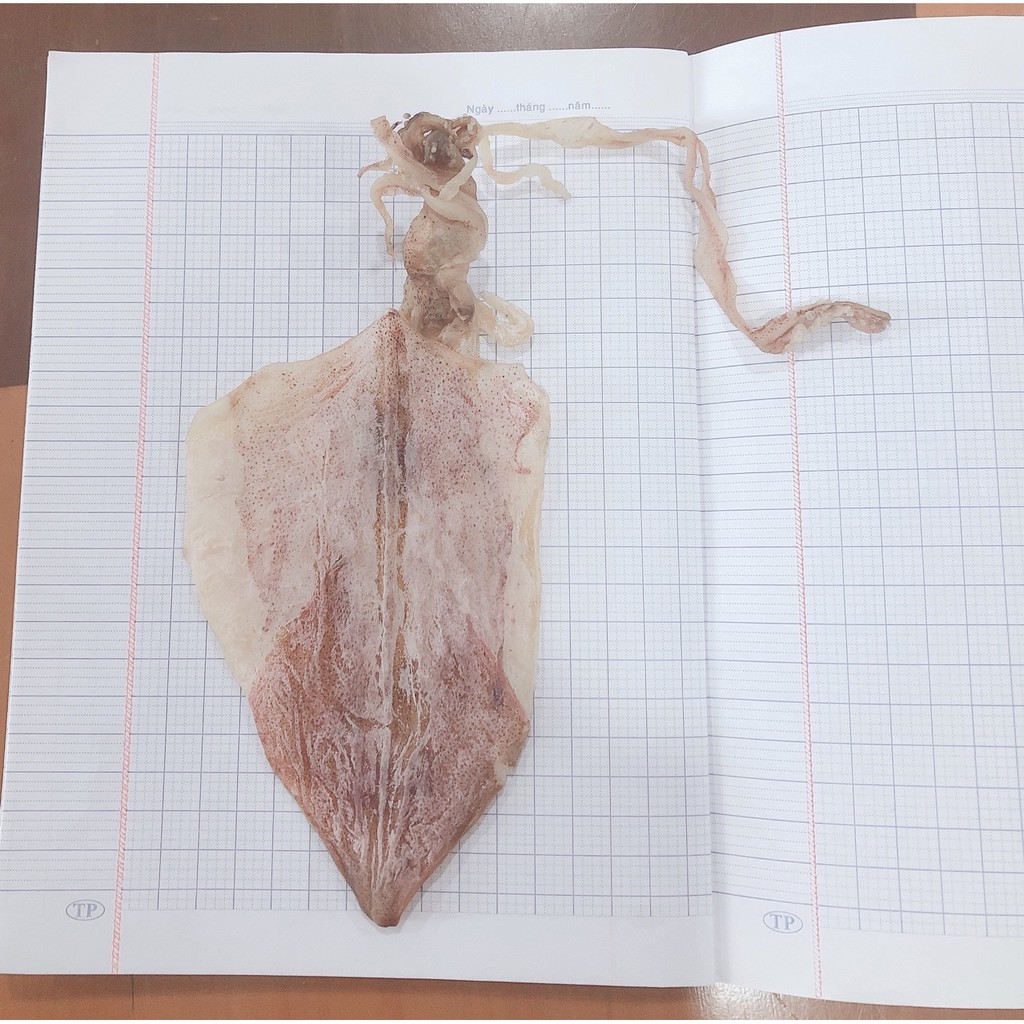 10 con khô mực ngon 159k | BigBuy360 - bigbuy360.vn