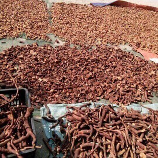 Combo 2kg mú từn