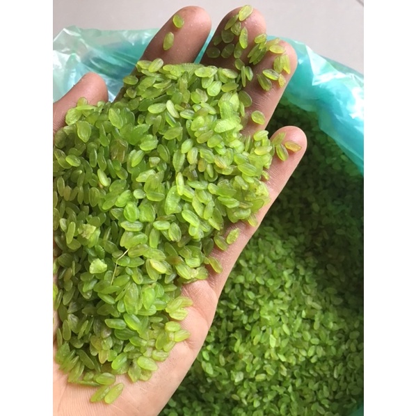 Cốm xanh khô dẻo thơm hạt đều mẩy gói 1 kg