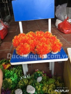 Cây hoa cỏ nhựa cao cấp