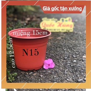 [Sỉ từ 30] Chậu nhựa Nâu N15 trồng sen đá,xương rồng thương hiệu Quốc Hùng