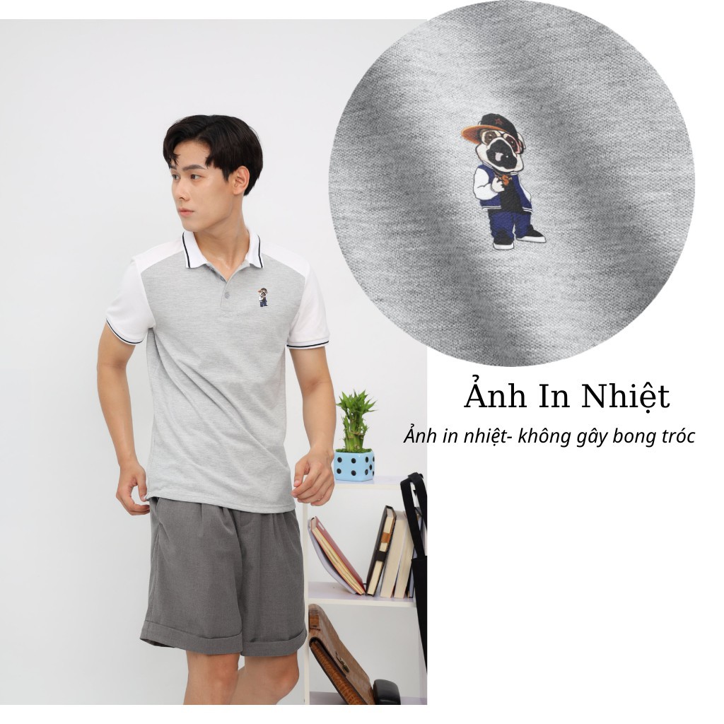 Áo Thun Polo Nam Bo Viền,Áo Phông Polo Nam Chính Hãng Hàng Cao Cấp Mặc Vải Thoáng Mát - PLMT01-GUSTA | BigBuy360 - bigbuy360.vn