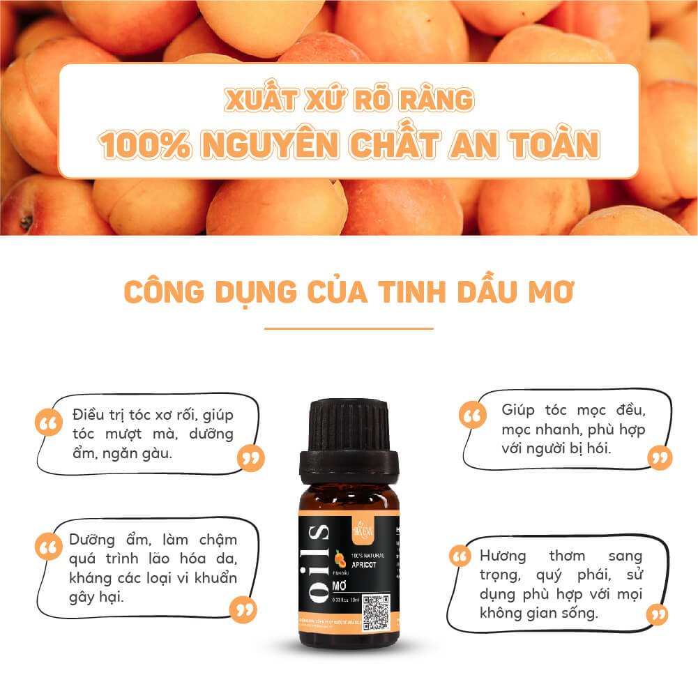 Tinh dầu xông Quýt Haeva Cao Cấp,100% Thiên Nhiên, giúp khử mùi, kháng  khuẩn, chống say xe, Chai 10ml/30m/100ml