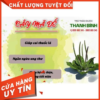 Cây Mã Đề Khô 1Kg - Hàng Công Ty Chất Lượng