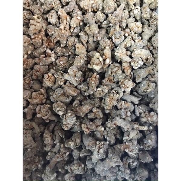 Củ Tam Thất Bắc 500Gr [hàng 50củ/1kg]