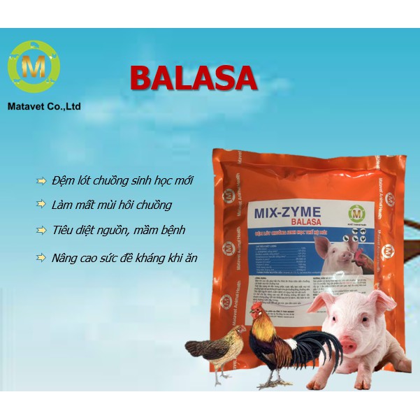 BALASA - Men Mixzyme