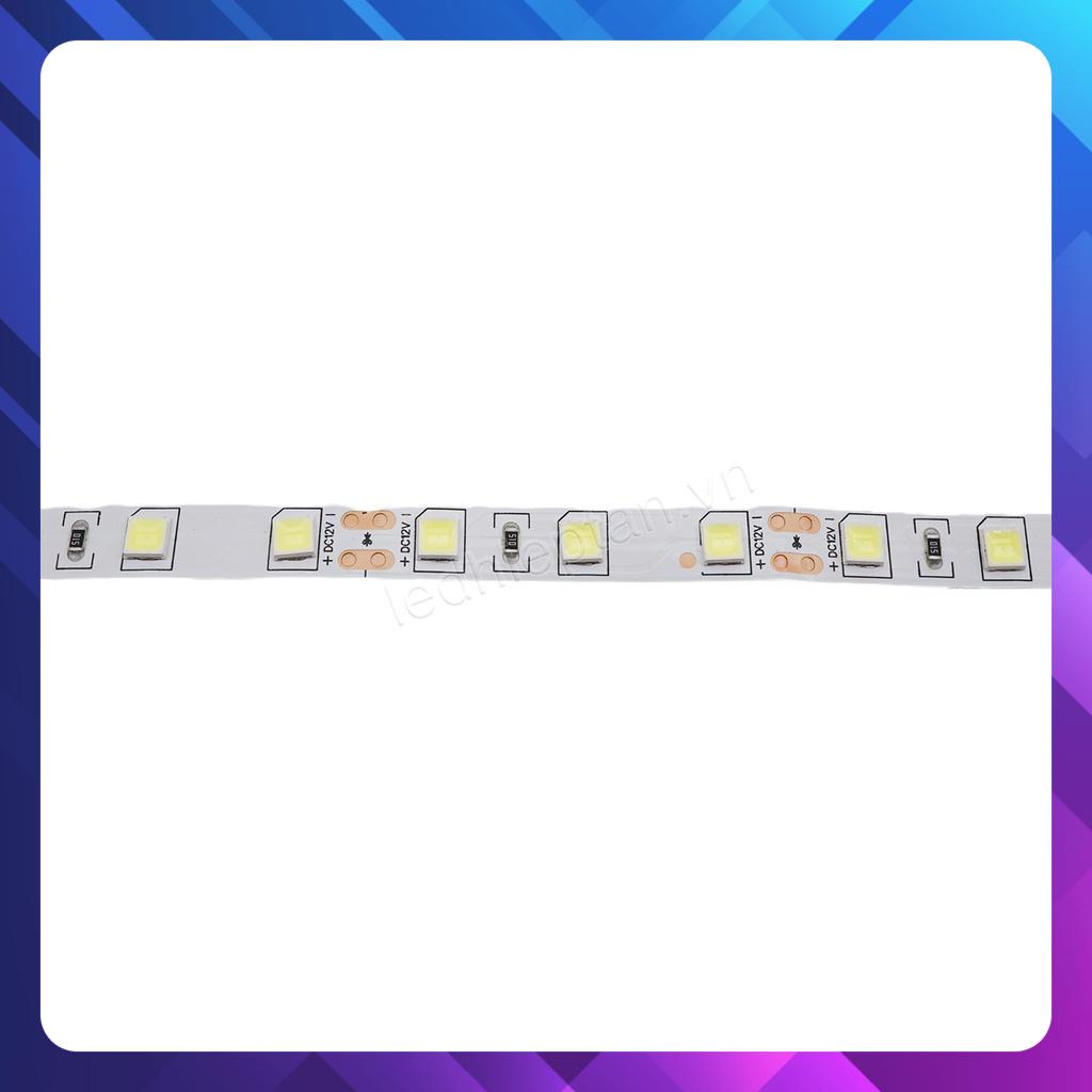 LED dây 5054 trắng 60 led IP20 12V cuộn 5m