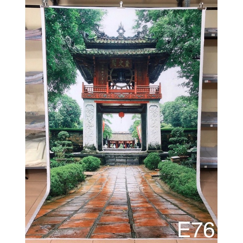 Phông nền liền chân E76
