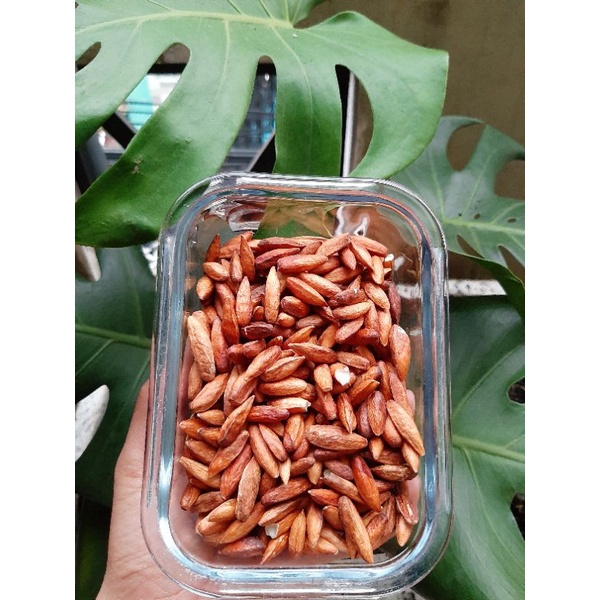 Hạt Bàng Sấy Khô