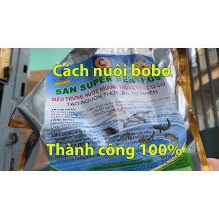 Tạo Trứng Nước ( BoBo ) Có thêm Men con giống bobo tạo 100% Thành Công ( 50g ) ( Có Video )