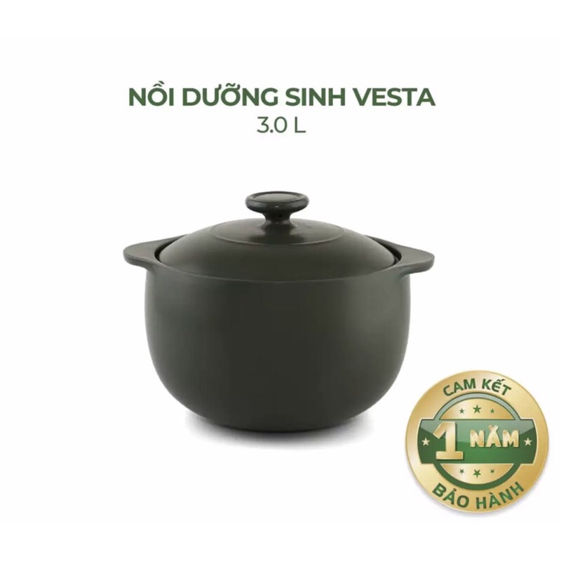 Nồi Sứ Dưỡng Sinh Minh Long Vesta 3.0 L dùng cho Bếp Ga, Hồng Ngoại có nắp đậy, tráng men màu sứ xanh rêu, có thể kho cá