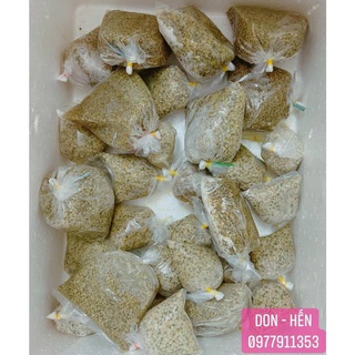 Don Quảng Ngãi