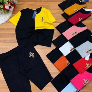 Combo khách mua sỉ 655