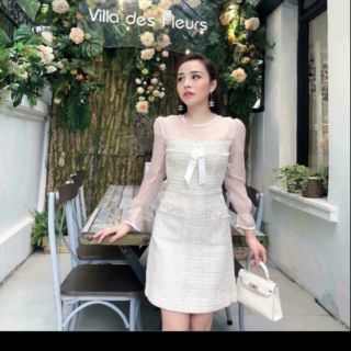 Váy dạ phối tay voan