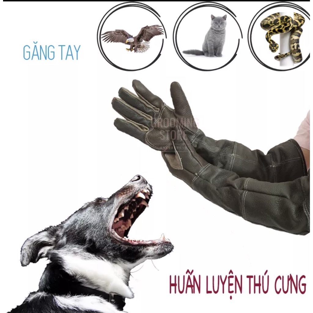 GĂNG TAY BẰNG DA XỊN CHỐNG CẮN CHUYÊN DỤNG CHÓ MÈO, BÒ SÁT SANG XỊN MỊN