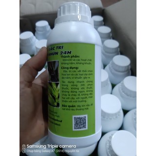 Đặc trị thối nhũn 24h chai 500ml