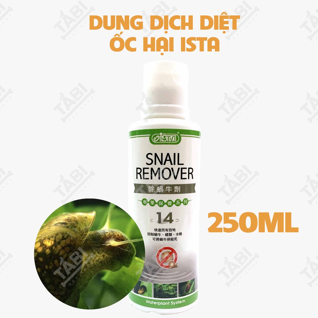 Dung Dịch Diêt Ốc Hại Snail Remover Ista 250ML Cho Hồ Cá Thuỷ Sinh - Diệt Ốc Hại Cho Bể Cá