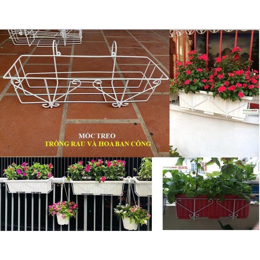 (CỰC RẺ) (GIÁ SỐC) MÓC TREO CHẬU TRỒNG RAU HOA TRANG TRÍ (KT : 60X21X18cm)