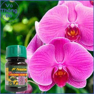 Phân bón hữu cơ kích thích ra hoa powerfeed 100ml