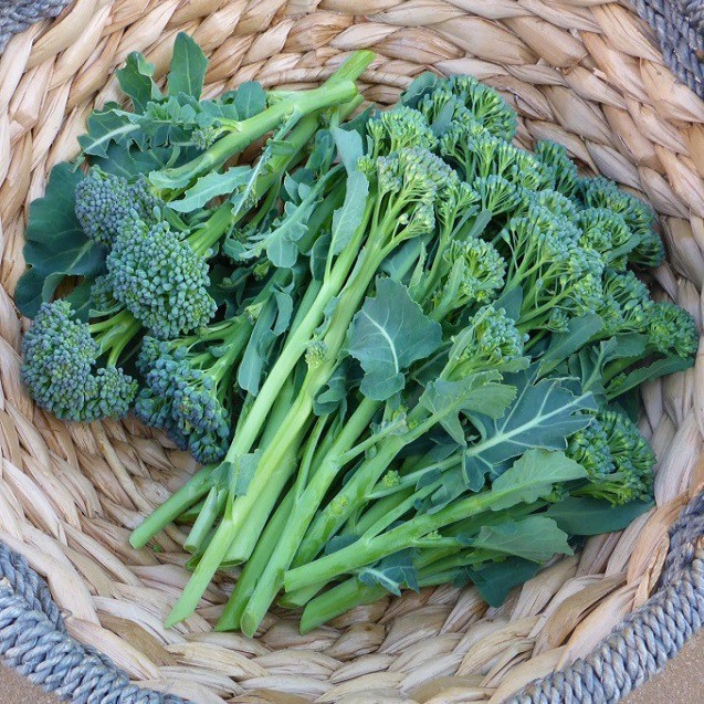 Hạt giống bông cải xanh BABY - rau củ quả chịu nhiệt 4 mùa ngon nảy mầm cao 5g BROCCOLI RAAB 602