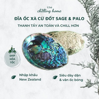 Đĩa Ốc Xà Cừ - Vỏ Ốc New Zealand đốt Sage (Xô Thơm) & Palo Santo (Gỗ Trắc Xanh)