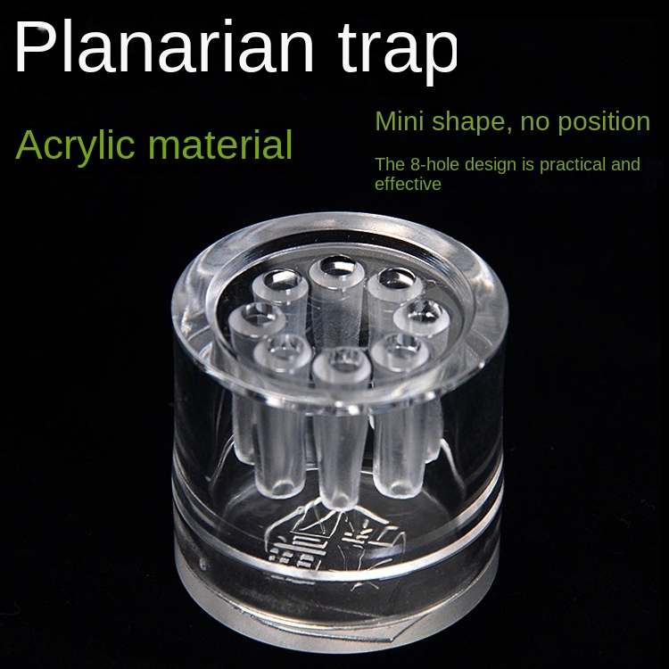 Cây Thủy Sinh 3 Lỗ 2 Lỗ 8 Lỗ Bắt Côn Trùng Bằng acrylic