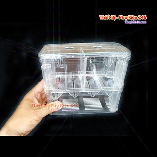 Lồng dưỡng Tép - cá - Ép đẻ Mica trong siêu tiện dụng