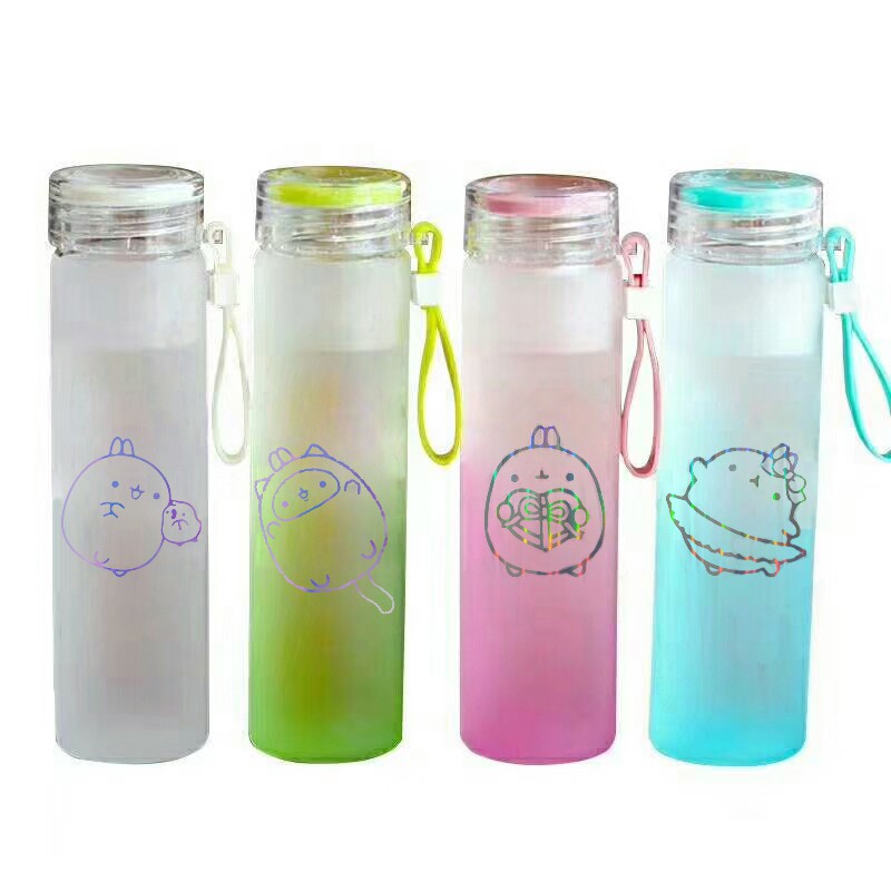 Bình nước màu loang molang BNML11 bình nước hologram thần tượng 500ml