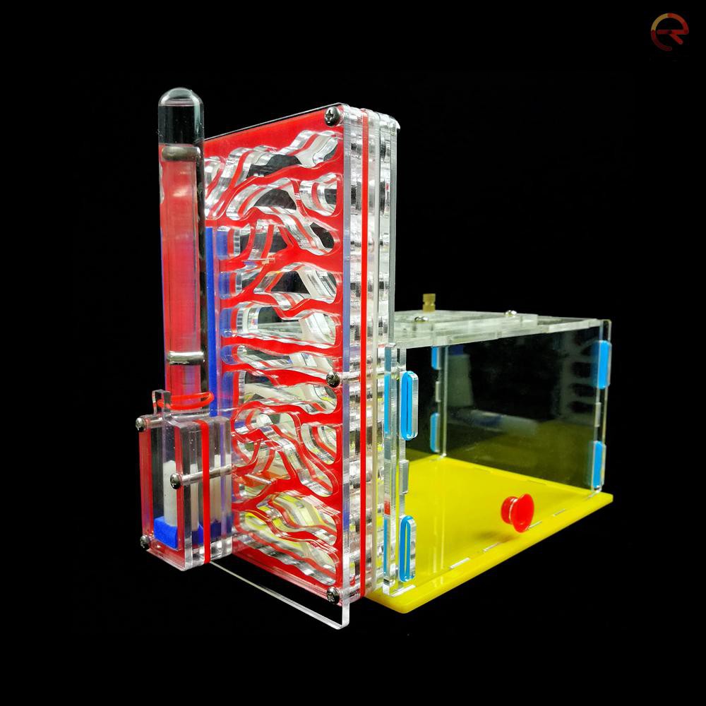 Tổ Nuôi Kiến Bằng Acrylic Dùng Làm Quà Tặng