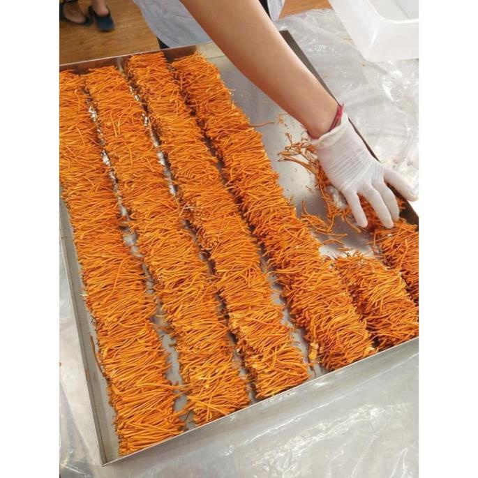 [30g] Nấm Đông trùng hạ thảo Cordypharm Đóng hộp thiếc (Theo đề tài cấp nhà nước)