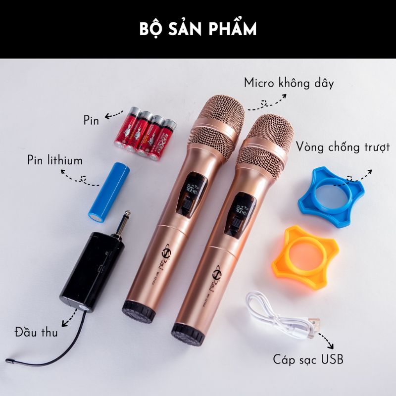 Micro không dây Cao cấp JSJ WV-221KA - Micro cặp