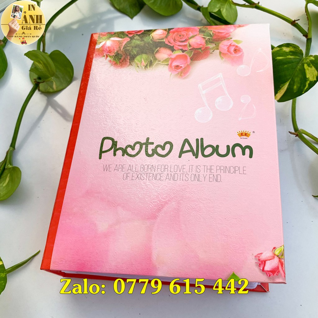 Album đựng 304 ảnh 10x15 bìa giấy cứng | BigBuy360 - bigbuy360.vn
