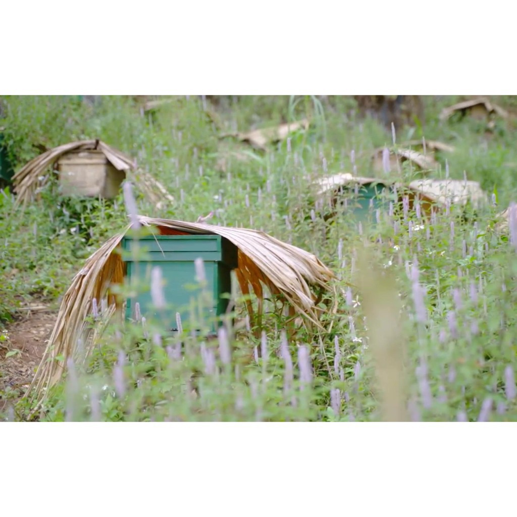 Mật ong hoa bạc hà ❤️HÀ GIANG❤️ nguyên chất cao cấp Honey Beauty 105ml có bảo hành