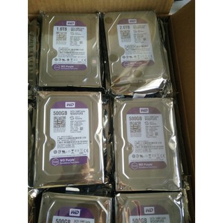 Ổ Cứng HDD 1TB Western Purple